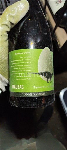 Wijnen Blanc sec Terroir des Dinosaures Anne de Joyeuse 2018 Frankrijk Languedoc Limoux AOC