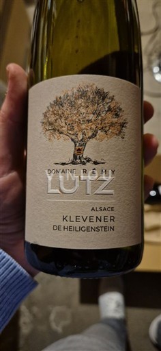 Alsace Klevener-de-heiligenstein Domaine Rémy Lutz 2023