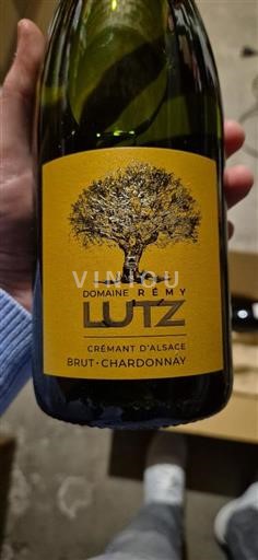 Alsace Alsace-kuohuviini Domaine Rémy Lutz Ei vuosikertaa