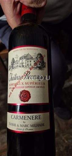 Bordeaux Bordeaux supérieur Château Recougne Carmenere 2019