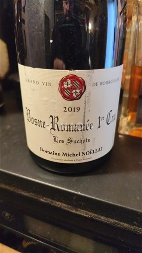 Bourgogne Vosne-Romanée Premier Cru Domaine Michel Noëllat Les Suchots 2019