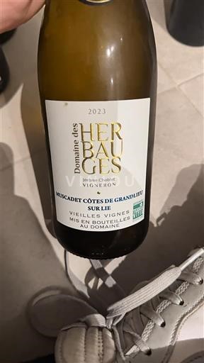 Thung lũng sông Loire Muscadet-côtes-de-grand-lieu Domaine Des Herbauges Vieilles Vignes Sur Lie 2023