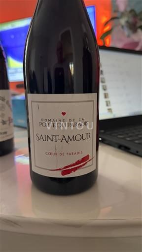 Beaujolais Saint-Amour Domaine La Porte du Paradis Coeur de Paradis 2019