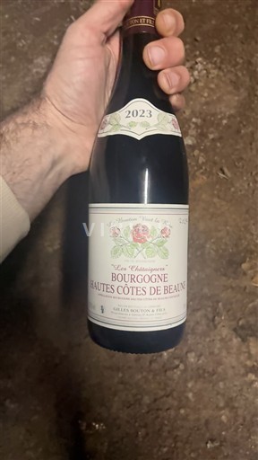 Bourgogne Ikke specificeret Gilley Botton & Fils Les Châtignières 2023