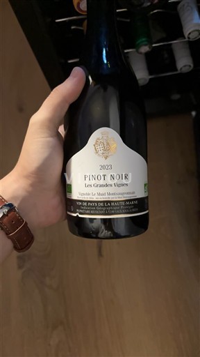 Östra regionerna Haute-Marne Les Grandes Vignes 2023