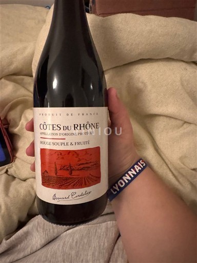 Valle del Rodano Côtes-du-Rhône Arnaud Coudoulet Senza annata