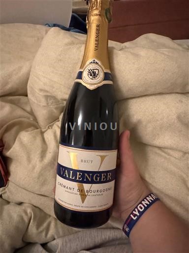 Borgoña Crémant de Borgoña Valenger Sin añada