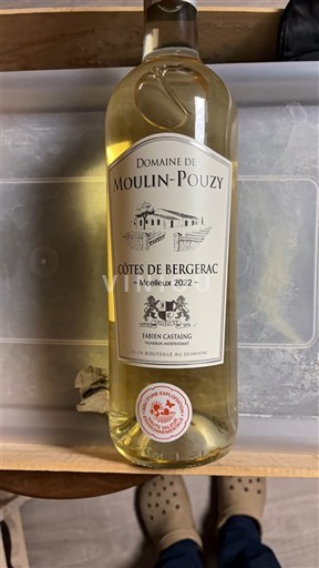 Sudoeste Côtes de Bergerac Domaine Moulin-Pouzy 2022