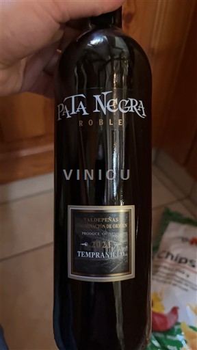 Castilla-La Mancha Valdepeñas Pata Negra Roble 2021