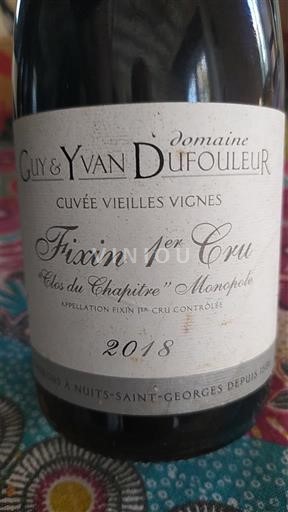 Burgund Nicht spezifiziert Premier Cru Domaine Guy & Yvan Dufouleur Vieilles Vignes Clos du Chapitre Monopole 2018
