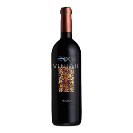 Vénétie Valpolicella Ripasso Speri 2022