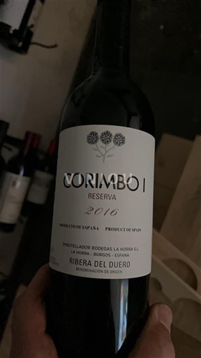 Castile and León Ribera del Duero Bodegas La Horra Corimbo I Reserva 2016