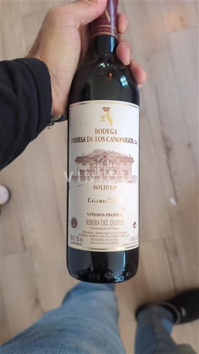 Vine Rouge sec Solideo Bodega Dehesa de los Canónigos 2002 Spanien Castilien og León Ribera del Duero DO