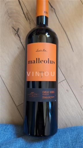 Castille và León Ribera del Duero Emilio Moro Malleolus 2006