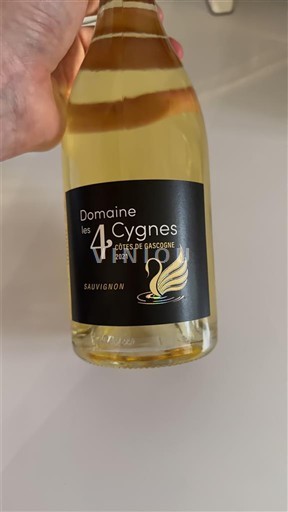 Југозапад Гаскоњски предели Domaine Les 4 Cygnes Sauvignon 2021