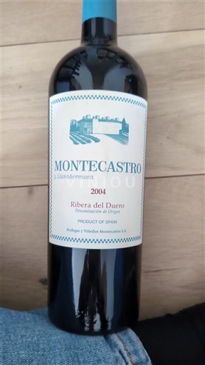 Castilien og León Ribera del Duero Montecastro Llanahermosa 2004