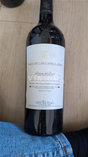 Castilien og León Ribera del Duero Pago de los Capellanes 2005