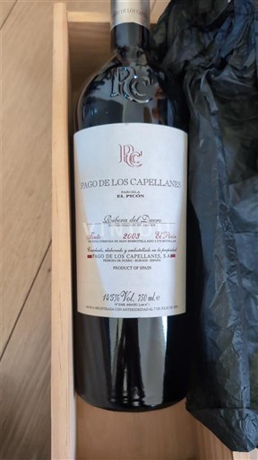 Castilien og León Ribera del Duero Pago de los Capellanes El Picón 2003