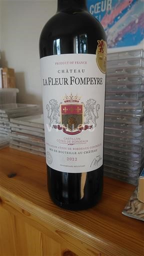 Bordeaux Castillon-côtes-de-bordeaux Château La Fleur Fompeyre 2022