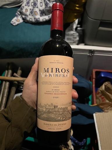Castilien og León Ribera del Duero Bodegas Peñafiel Miros de Ribera Vendimia Seleccionada 2020