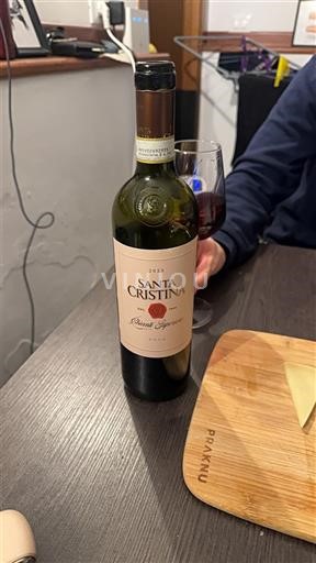 Toscana Määrittelemätön Santa Cristina Rosso Toscana 2023