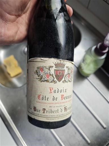 Bourgondië Côte-de-Beaune Duc Fribert Hazelin Niet-geïntegreerd