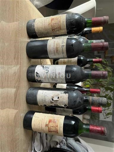 Bordeaux Saint-Julien Grand Cru Château Talbot Senza annata