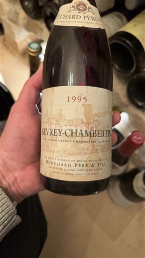Burgundsko Gevrey-Chambertin Bouchard Père & Fils 1995