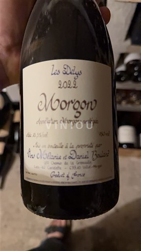 Beaujolais Morgon Louis Mélaric et Daniel Bouland Les Délys 2022