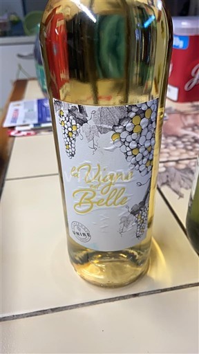 South West Côtes de Gascogne La Vigne Belle Non-Vintage