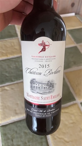 Bordeaux Montagne-saint-émilion Château Berlion 2015