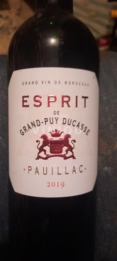 Bordéus Pauillac Grand-Puy Ducasse Esprit de Grand-Puy Ducasse 2019