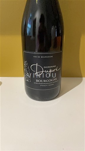 Burgundi Bourgogne Domaine Dupré 2024 Ei vuosikertaa