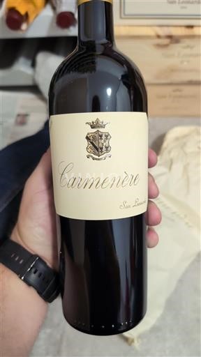 Tridentsko-Horní Adiže Vigneti delle Dolomiti San Leonardo Carmenère 2016