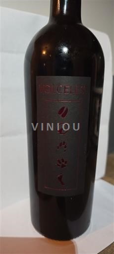 Bordeaux Canon-Fronsac Nouveau vin Volcelest 2020