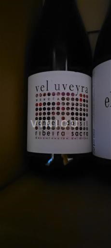 Galicia Ribeira Sacra Ronsel do Sil Vel'uveyra Không niên vụ