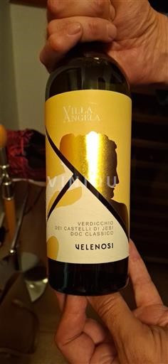 Marcas Verdicchio dei Castelli di Jesi Velenosi Villa Angela 2023