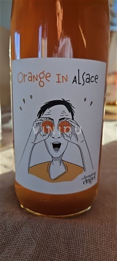 Alsacia Orange in Alsace 2023