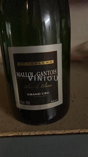 Samppanja Grand Cru Mallol-Gantois Blanc de Blancs Ei vuosikertaa