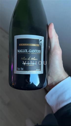 Champagne Grand Cru Mallol-Gantois Blanc de Blancs Non-Vintage