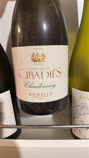 Languedoc và Roussillon Vùng đất Oc Domaine Cibadiès Chardonnay Không niên vụ