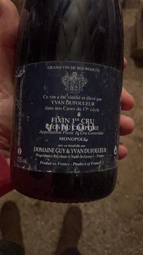 Burgund Nicht spezifiziert Premier Cru Domaine Guy & Yvan Dufouleur Clos du Chapitre 2010