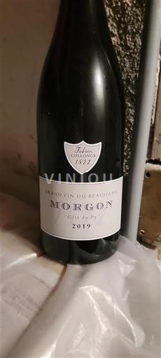 Beaujolais Morgon Julien Chantreau 2019
