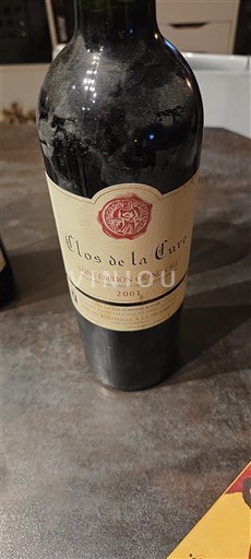 Bordeaux Saint-Émilion Grand Cru Grand Cru Clos de la Cure 2001