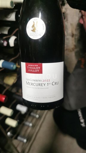Borgoña Mercurey Premier Cru Domaine Theulot Juillot Les Combins 2022