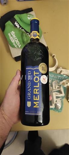Linguadoca Non specificato Grand Sud Merlot Senza annata