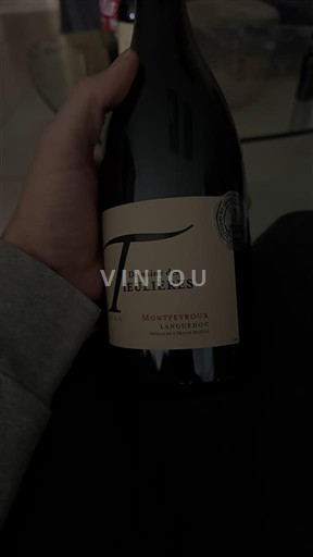 Linguadoca Non specificato Domaine Des Tieulières 2022