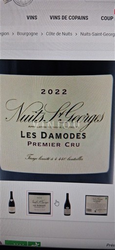 Borgoña Nuits-Saint-Georges Premier Cru Les Damodes 2022