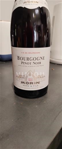 Burgundi Bourgogne Morin Père & Fils Ei vuosikertaa