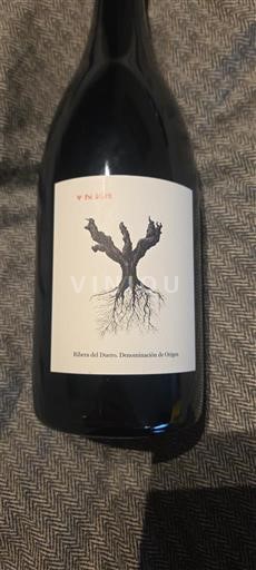 Viinit Rouge sec Yndar 2022 Espanja Kastilia ja León Ribera del Duero DO
